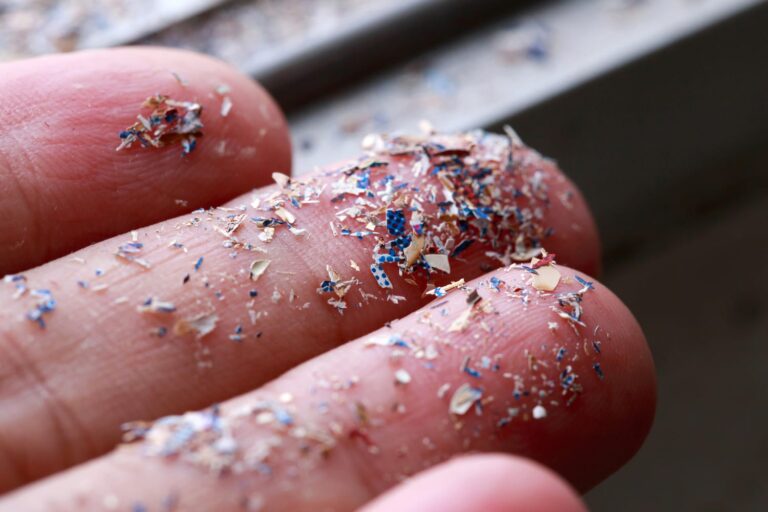 Understanding Microplastics: Exposure and Risks