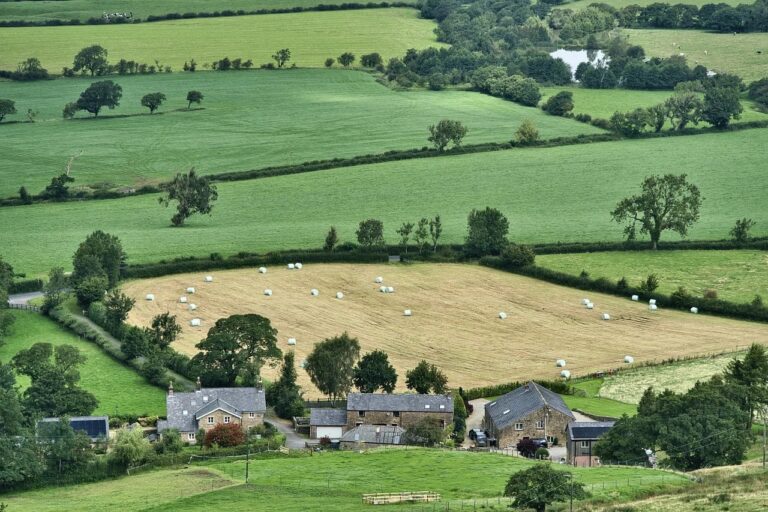 The Benefits of Solar Panels for Farmers