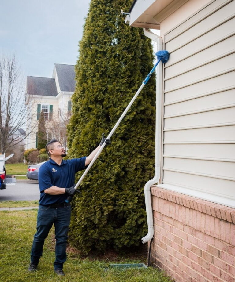 Spider Infestation in Woodbridge? When to Call a Professional