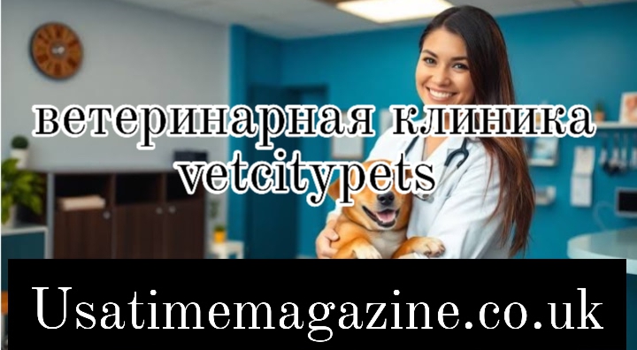 ветеринарная клиника vetcitypets ветеринарная клиника vetcitypets