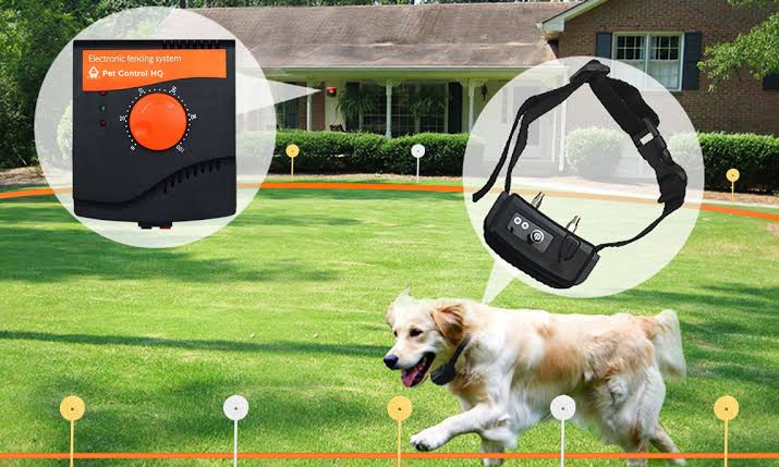 Electric Dog Fence: The Invisible Solution for Pet Containment