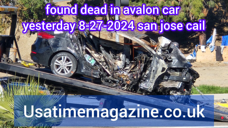 The Found Dead in Avalon Car Yesterday 8-27-2024, San Jose, CA