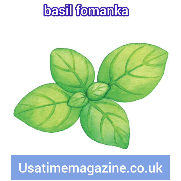 The Intricacies of Basil Fomanka: Exploring Its Benefits and Uses