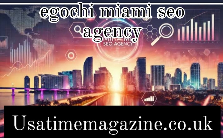 egochi miami seo agency