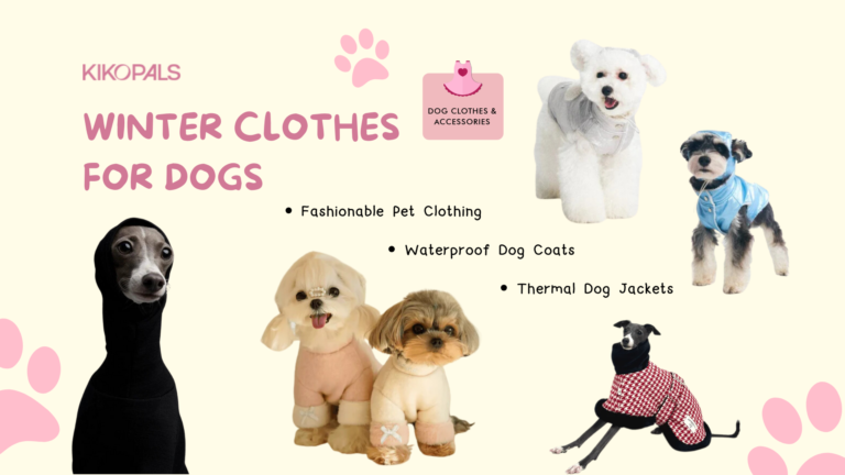 The Benefits of Dressing Your Dog and Cat in Winter Clothes